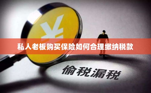 私人老板购买保险如何合理缴税，策略与指南-图1