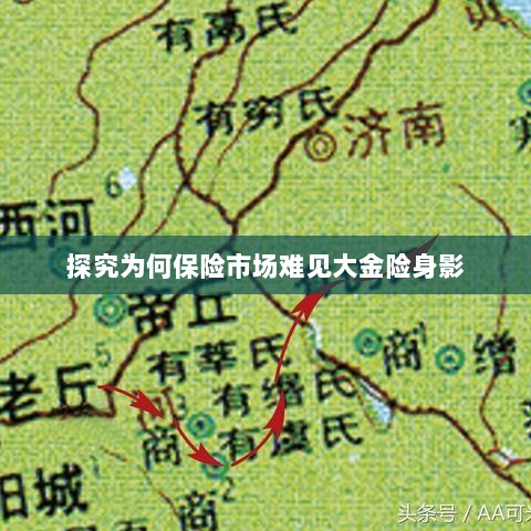 大金险在保险市场难觅踪迹的探究-图1