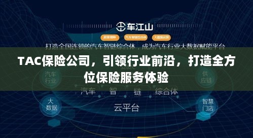 TAC保险公司，引领行业先锋，全方位保险服务体验打造者-图1