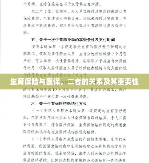 生育保险与医保,关系紧密,保障女性生育权益的重要性不言而喻-图1 生育保险与医保,关系紧密,保障女性生育权益的重要性不言而喻-图1