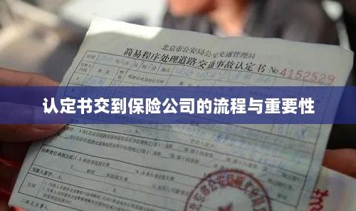 认定书交到保险公司的流程及其重要性概述-图1 认定书交到保险公司的流程及其重要性概述-图1