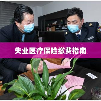 失业医疗保险缴费详解,一站式指南-图1 失业医疗保险缴费详解,一站式指南-图1