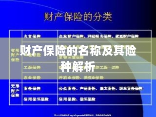 财产保险名称及险种深度解析-图1