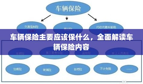 全面解读，车辆保险应保哪些内容？-图1