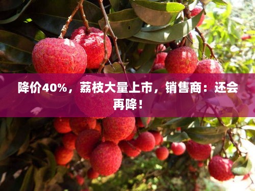 荔枝大量上市，销售商降价四成并预测价格还将继续下滑！-图1