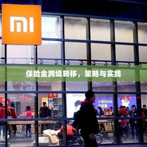 保险金跨境转移的策略与实践探讨-图1