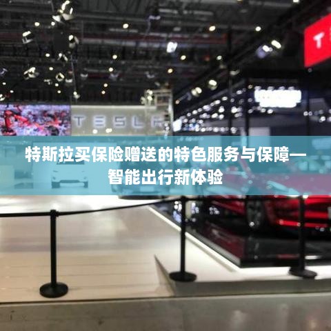 特斯拉保险特色服务，智能出行保障与独特体验赠礼-图1