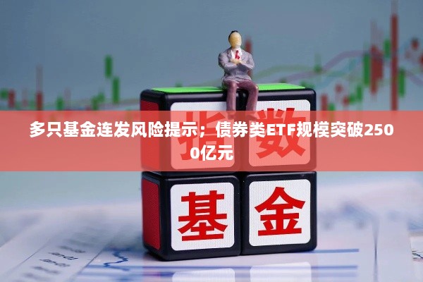 多只基金连发风险提示,债券类ETF规模突破2500亿元大关-图1 多只基金连发风险提示,债券类ETF规模突破2500亿元大关-图1