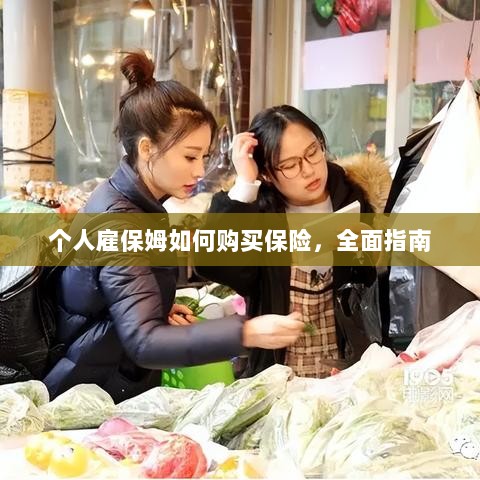 个人雇保姆保险购买指南,全面解析与攻略-图1 个人雇保姆保险购买指南,全面解析与攻略-图1