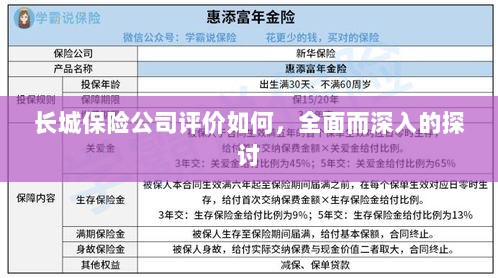 长城保险公司评价深度解析，全面探讨其表现与优势-图1