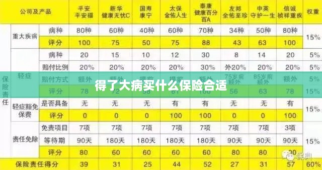 大病保险选择指南,如何选购合适的保险?-图1 大病保险选择指南,如何选购合适的保险?-图1
