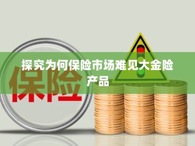 大金险产品在保险市场的稀缺原因探究-图1