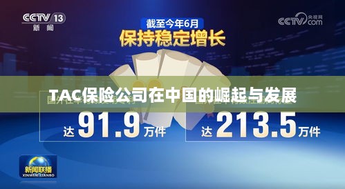 TAC保险公司在中国的崛起与蓬勃发展之路-图1