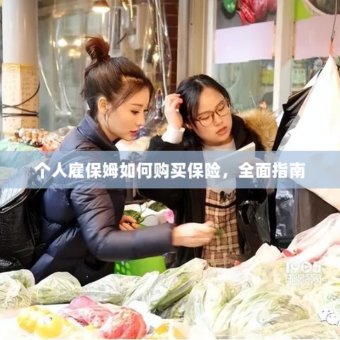 个人雇保姆保险购买指南,全面解析与攻略-图1 个人雇保姆保险购买指南,全面解析与攻略-图1
