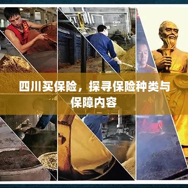 四川保险探秘，种类与保障内容全解析-图1
