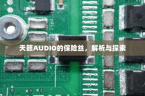 天籁AUDIO保险丝解析与探索-图1