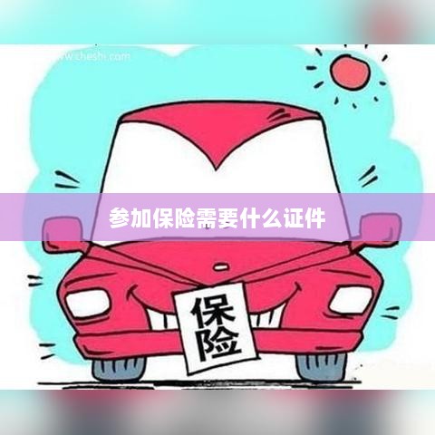 参加保险所需证件概览-图1