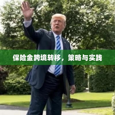 保险金跨境转移的策略与实践探讨-图1