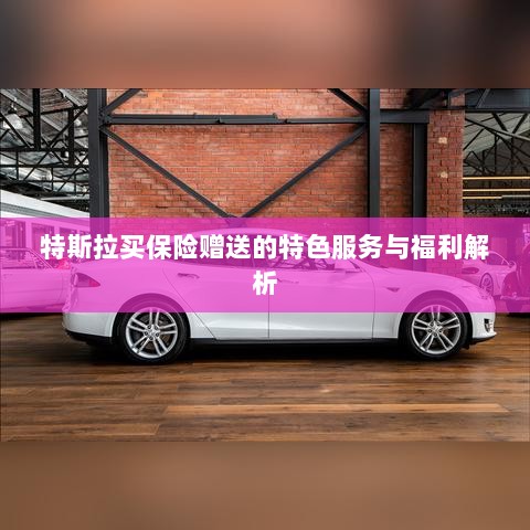 特斯拉保险赠品特色服务与福利深度解析-图1