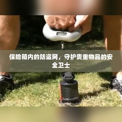 保险箱内防盗网，守护贵重物品的安全屏障-图1
