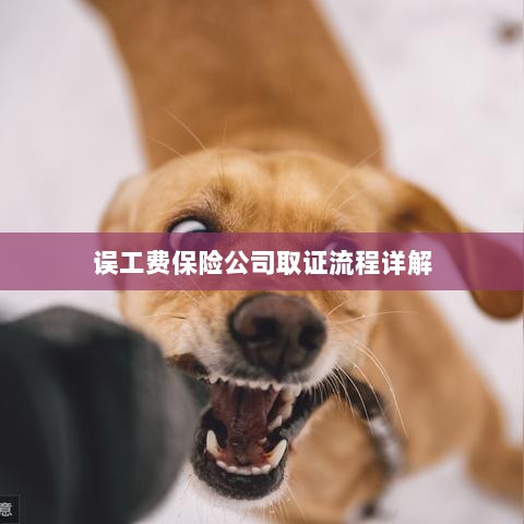 保险公司误工费取证流程详解-图1