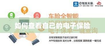 如何查看个人电子保险保单详情-图1 如何查看个人电子保险保单详情-图1