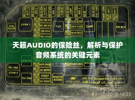 天籁AUDIO保险丝,解析与音频系统保护的关键要素-图1 天籁AUDIO保险丝,解析与音频系统保护的关键要素-图1