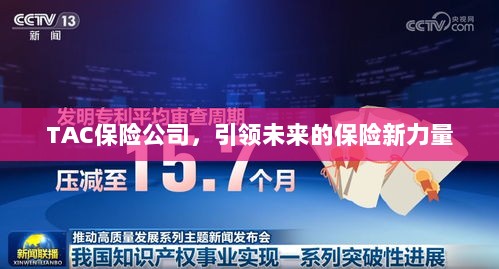 TAC保险公司，引领保险行业新力量崛起-图1