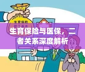 生育保险与医保的关系深度探讨与解析-图1 生育保险与医保的关系深度探讨与解析-图1
