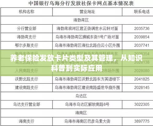 养老保险卡片类型及其管理，从知识科普到实战应用指南-图1