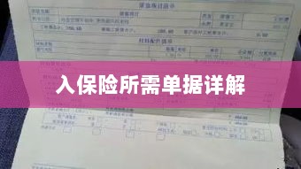 入保险必备单据解析-图1
