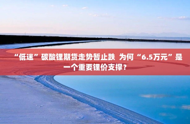 碳酸锂期货走势止跌，6.5万元支撑锂价背后的原因揭秘。-图1