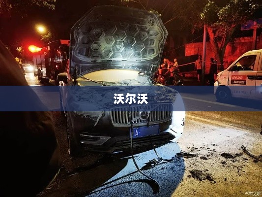 沃尔沃高架上自燃仅余框架,车主庆幸人无大碍-图1 沃尔沃高架上自燃仅余框架,车主庆幸人无大碍-图1