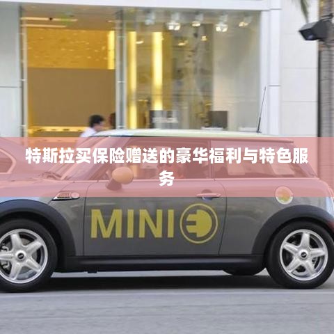 特斯拉保险特惠，豪华福利与专属服务一网打尽-图1