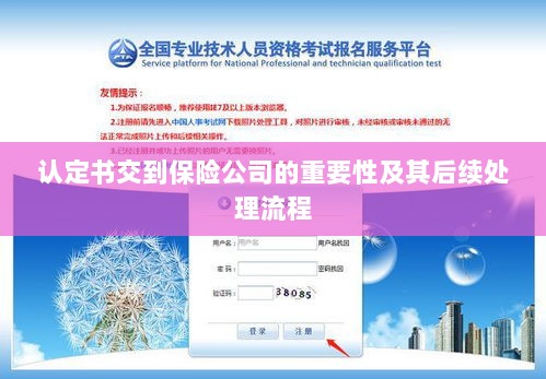 认定书对保险公司的重要性及后续处理流程详解-图1 认定书对保险公司的重要性及后续处理流程详解-图1