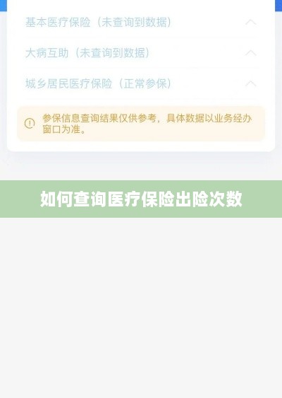 医疗保险出险次数查询攻略-图1