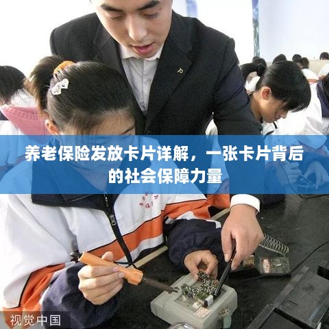 养老保险发放卡片全面解析，社会保障力量的见证-图1