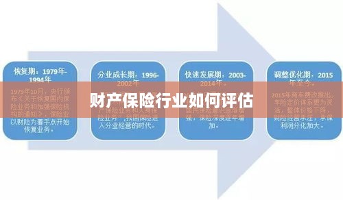 财产保险行业评估方法与策略解析-图1