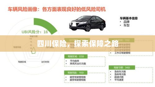 四川保险,探索全方位保障之路-图1 四川保险,探索全方位保障之路-图1