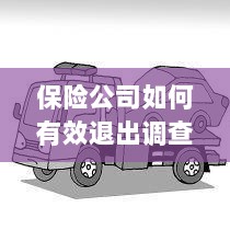 保险公司有效退出调查的策略与实践探讨-图1