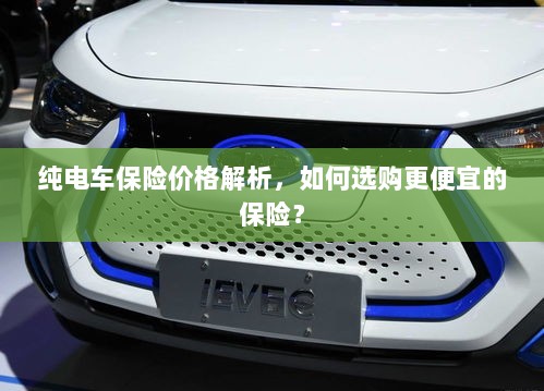 纯电车保险价格解析，如何选购更经济的保险方案？-图1