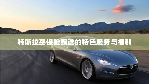 特斯拉保险特惠，独家特色服务与丰厚赠品等你来享-图1