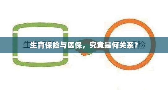 生育保险与医保,究竟有何关联?-图1 生育保险与医保,究竟有何关联?-图1