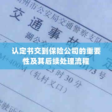 认定书对保险公司的重要性及后续处理流程详解-图1 认定书对保险公司的重要性及后续处理流程详解-图1