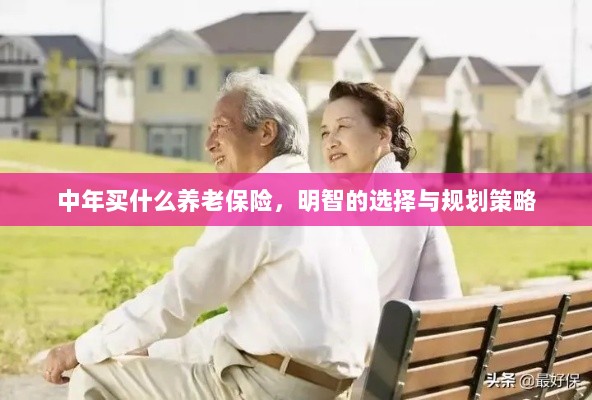 中年明智之选，养老保险的规划与策略-图1
