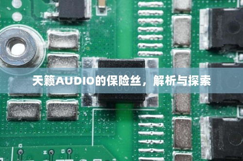 天籁AUDIO保险丝解析与探索-图1