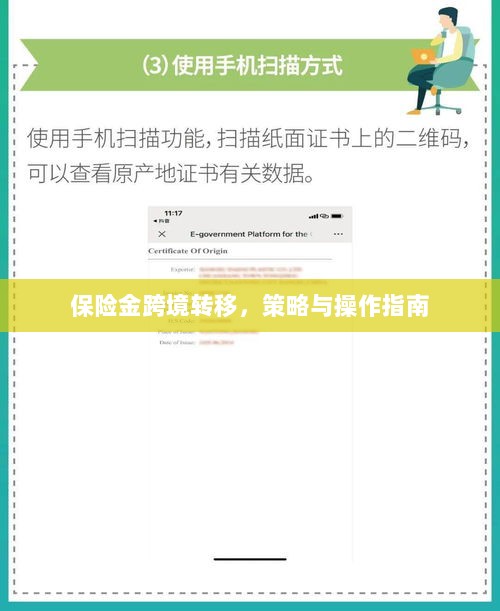 保险金跨境转移策略及操作指南-图1 保险金跨境转移策略及操作指南-图1