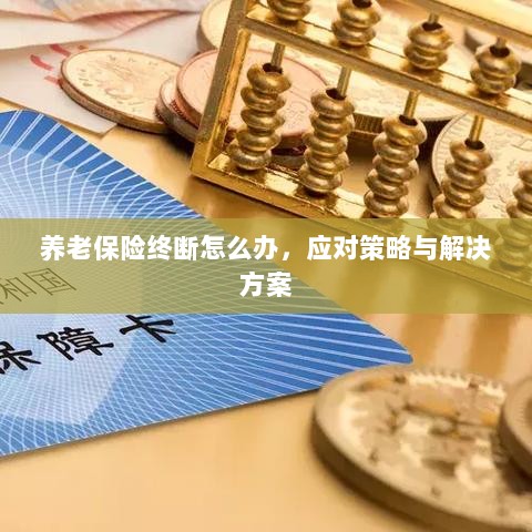 养老保险中断应对指南，解决方案与策略-图1