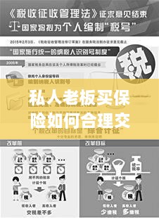 私人老板如何合理购买保险并交税指南-图1 私人老板如何合理购买保险并交税指南-图1