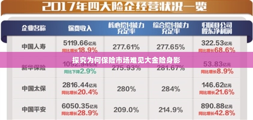 大金险在保险市场难觅踪迹的探究-图1 大金险在保险市场难觅踪迹的探究-图1
